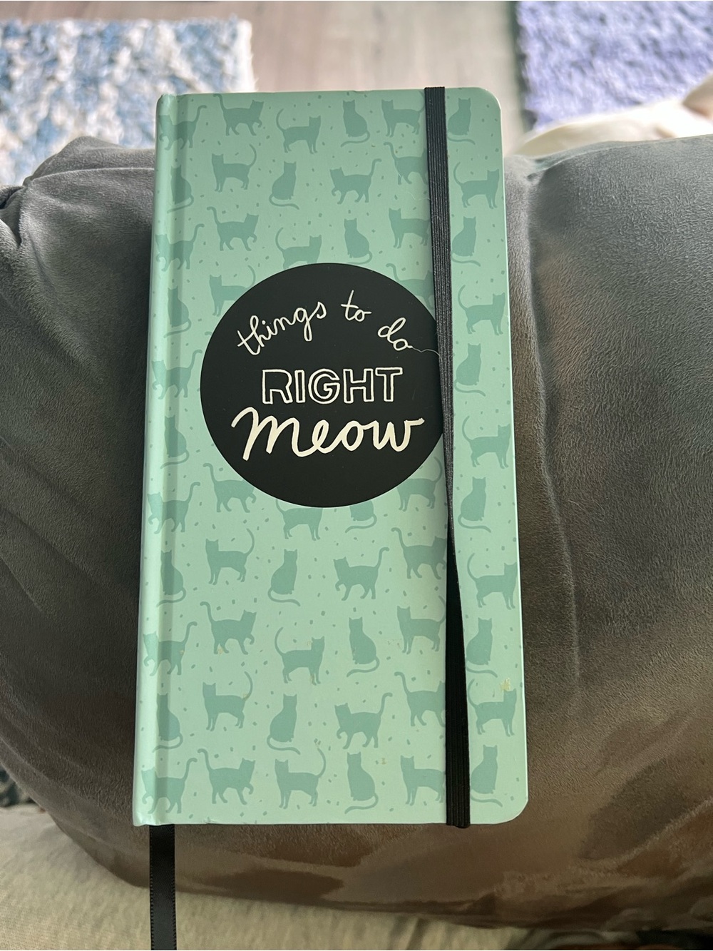 Things to Do Book Right Meow